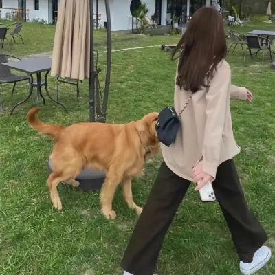 茶啊二中第一季